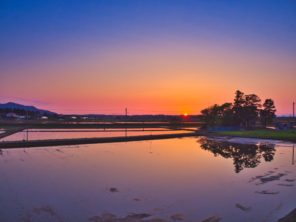 夕焼けのリフレクション