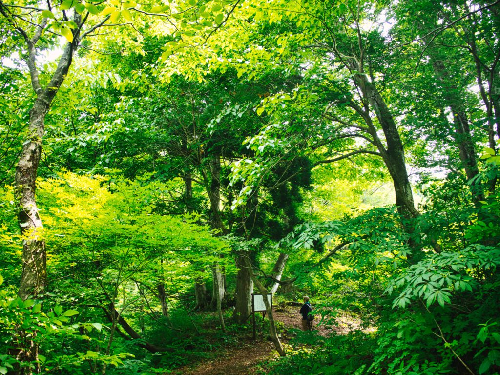 山神様と登山客