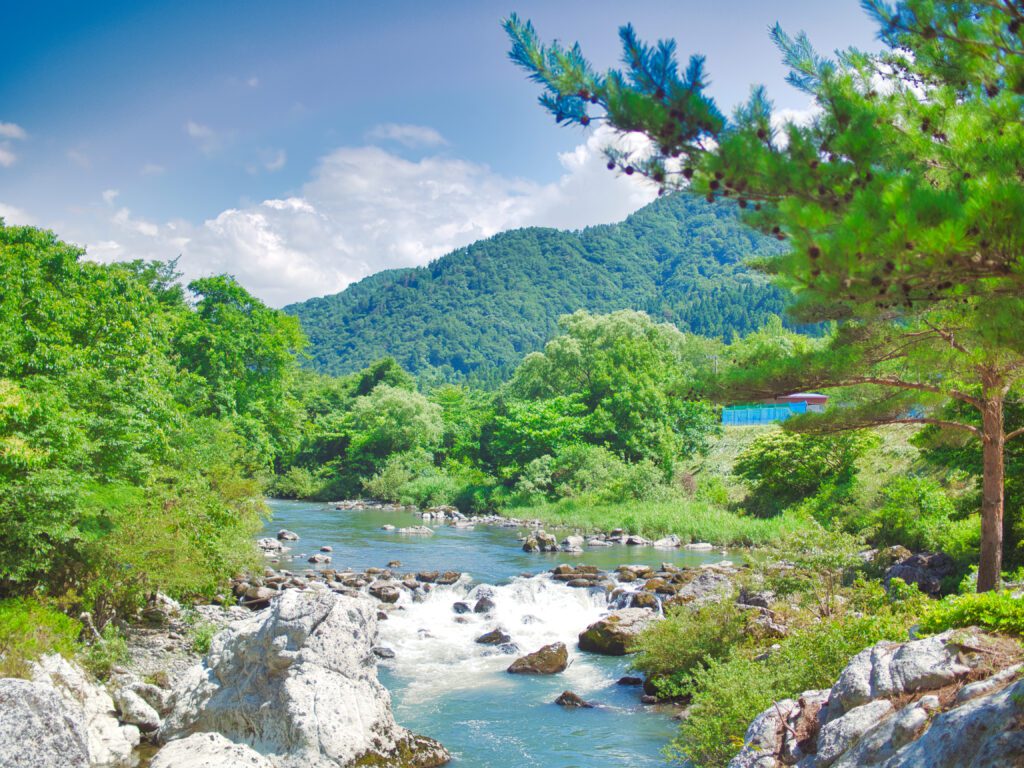 胎内川