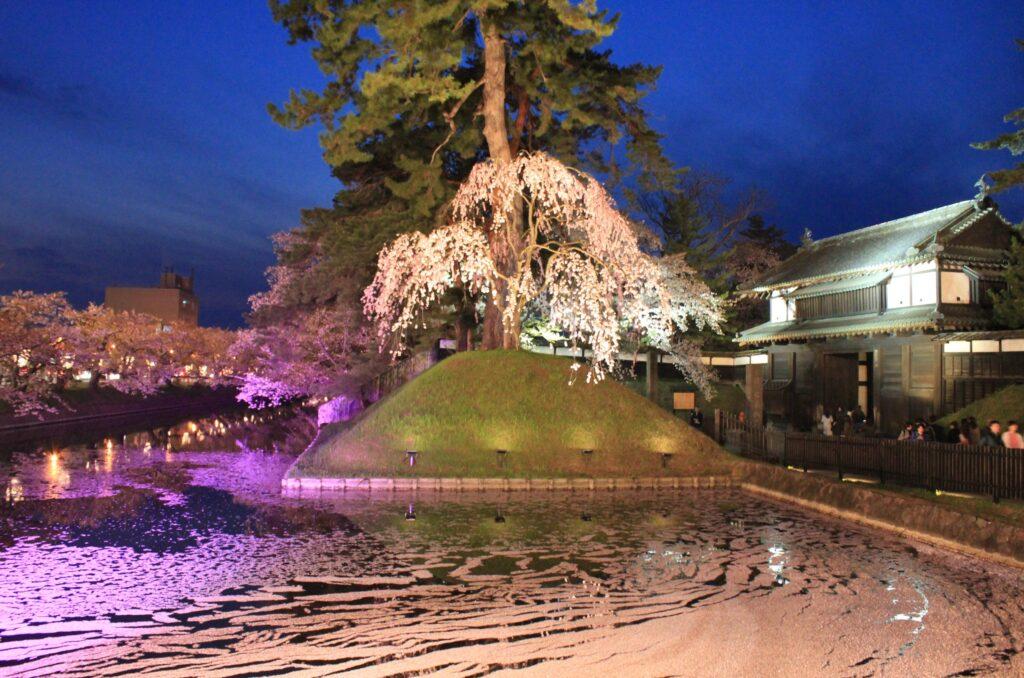 弘前公園　追手門ライトアップ