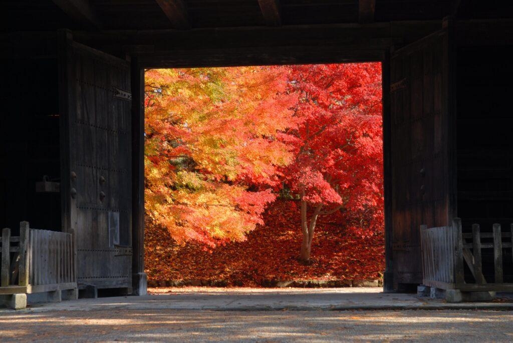 弘前　秋の紅葉