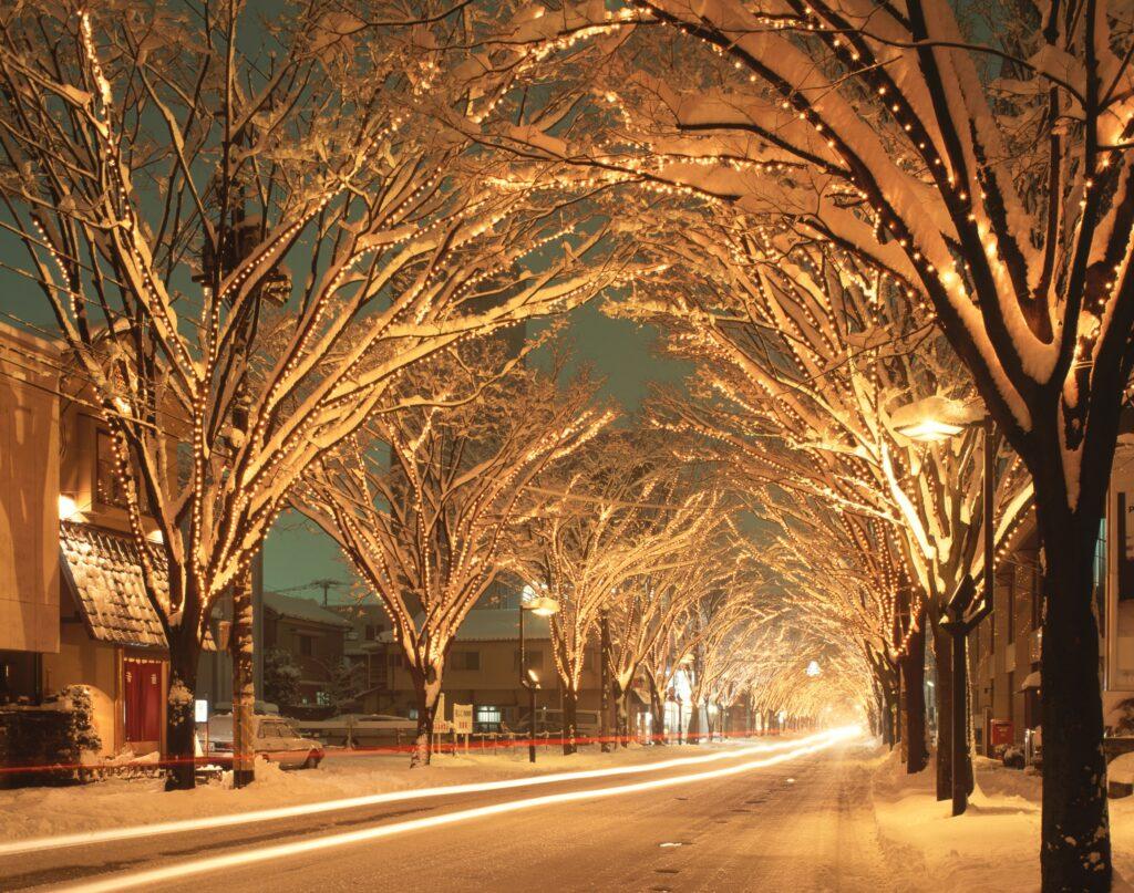 けやき通り　雪とイルミネーション