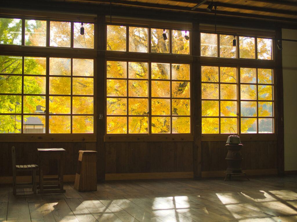 昭和村　喰丸小学校　窓からの銀杏