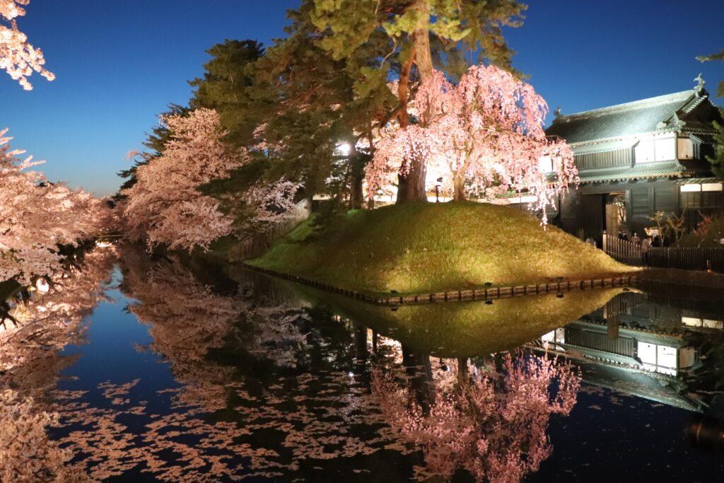 弘前市大手門　夜桜