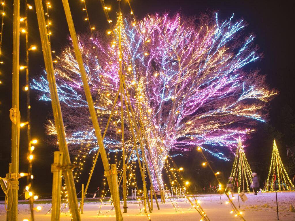 越後丘陵公園　キャンドルナイト