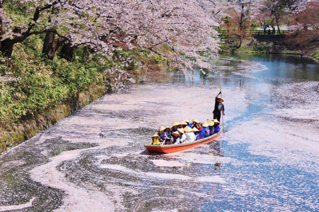 弘前さくらまつり　花筏